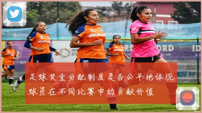 足球奖金分配制度是否公平地体现球员在不同比赛中的贡献价值