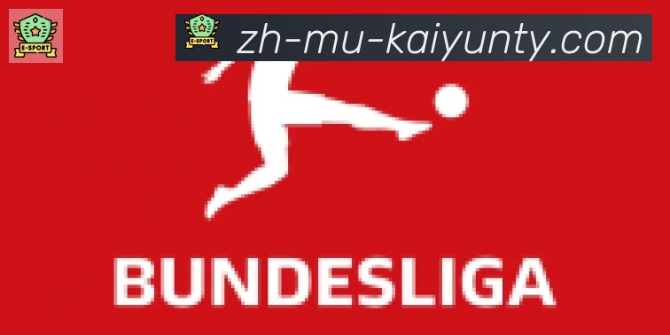 KY开云体育合作伙伴